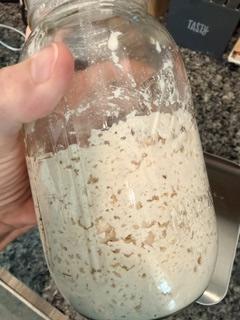 Gluten-Free Sourdough Starter highlight