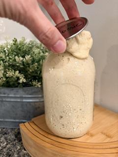 Healthy mature sourdough starter at peak