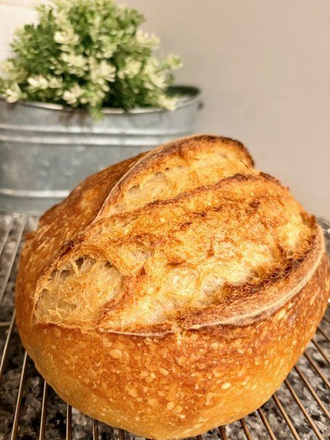 Sourdough bread from Clear Creek starter